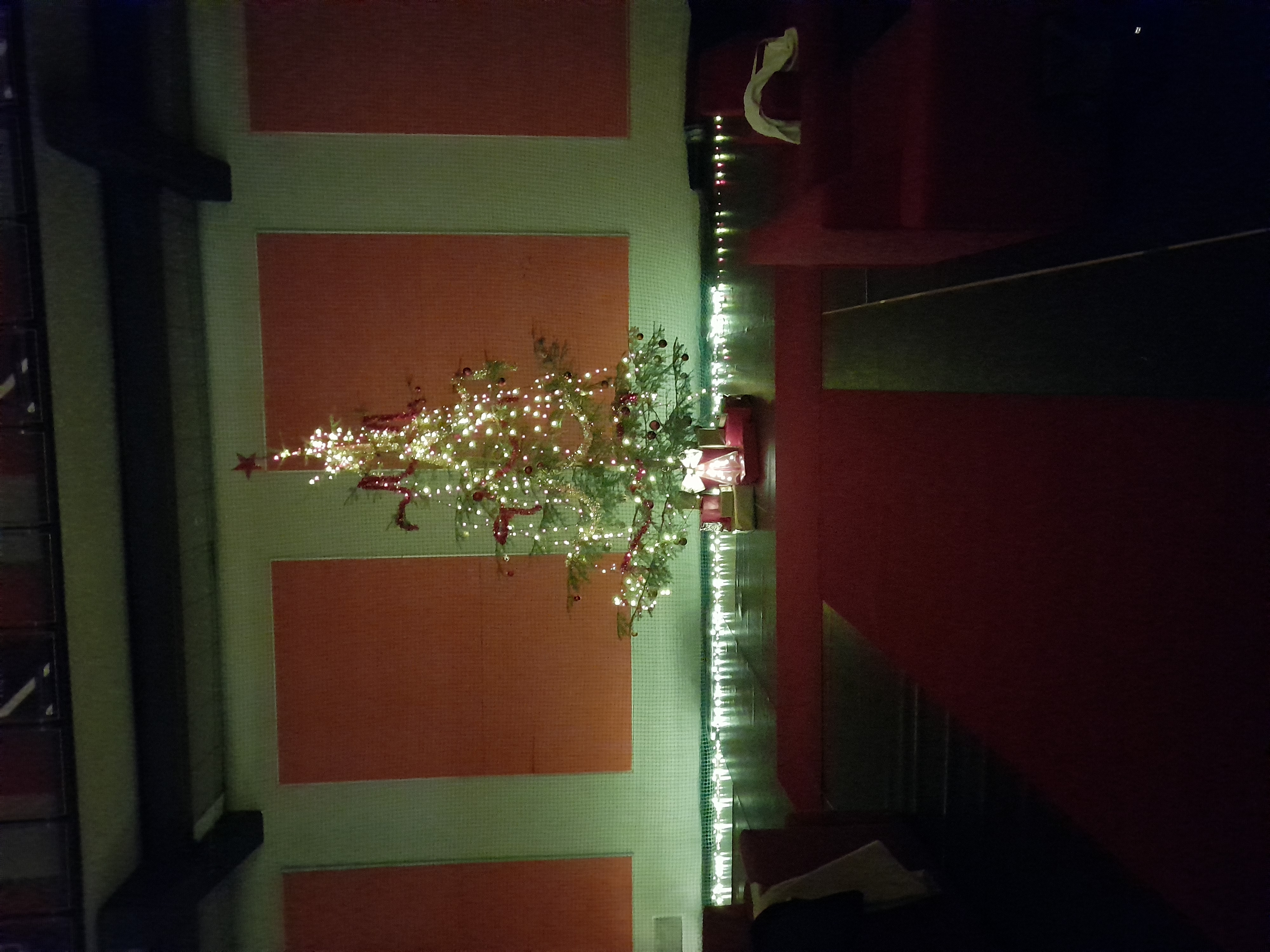 The Christmas tree. Tsvetina Georgieva for AUBG Daily.