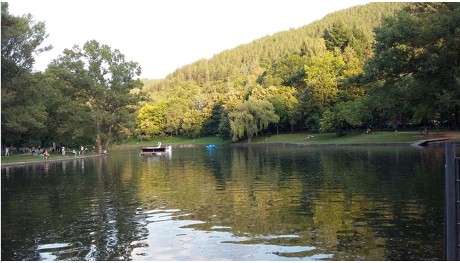 A view of the lake at Park Bachinovo. Tsvetina Georgieva for AUBG Daily.