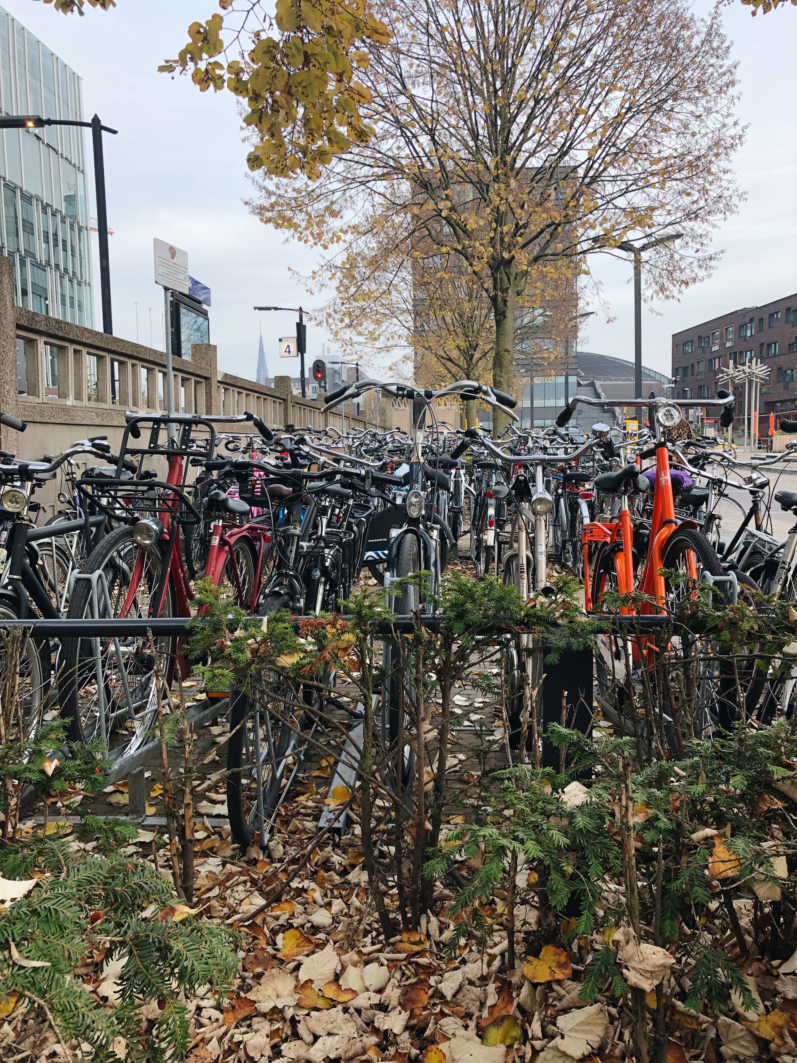 Bicycles parked by the train station in Enschede. Stanislava Pashkulova for AUBG Daily.
