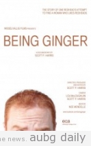 The Official Poster of the Film